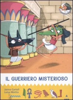 guerriero misterioso