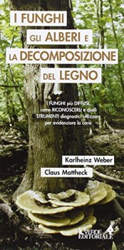 funghi gli alberi e la decomposizione del legno