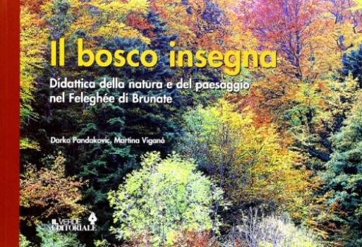 bosco insegna didattica della natura e del paesaggio nel felengh