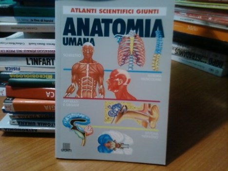 anatomia umana