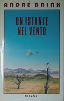 istante nel vento