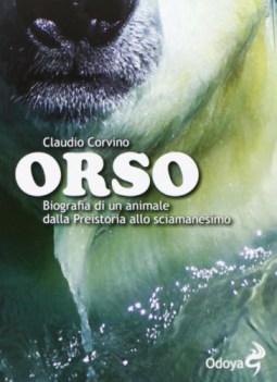 orso biografia di un animale dalla preistoria allo sciamanesimo