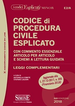 codice di procedura civile esplicato ediz minor