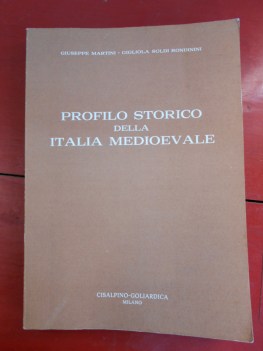 profilo storico dell\'italia medioevale