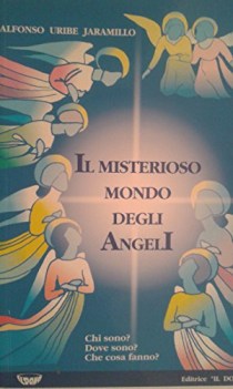 misterioso mondo degli angeli