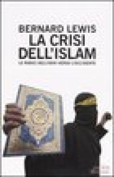 crisi dell\'islam le radici dell\'odio verso l\'occidente