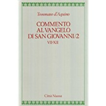 commento al vangelo di san giovanni/2 vii xii