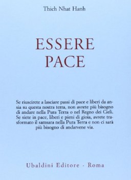 essere pace con il cuore della comprensione e la meditazione camminata