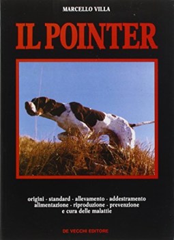 pointer