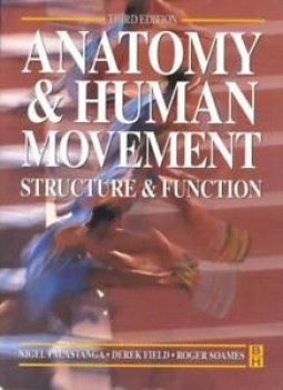 anatomy &amp; human movement structure &amp; function (third edition)