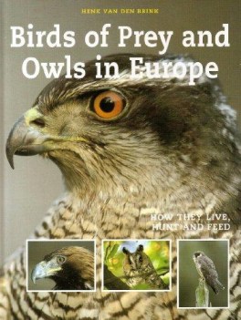 birds of prey an owls in europe