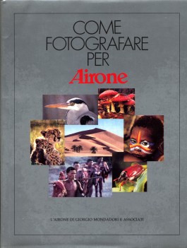 come fotografare per airone