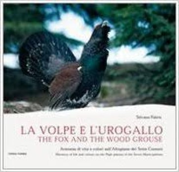 volpe e l\'urogallo