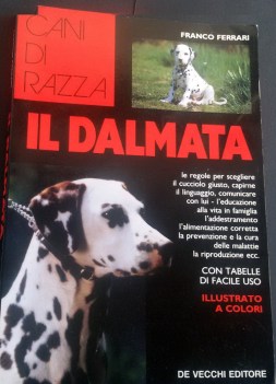 dalmata senza videocassetta