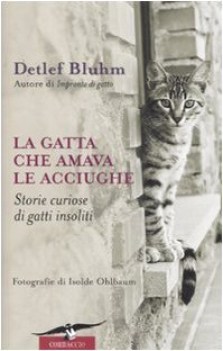 gatta che amava le acciughe storie curiose di gatti insoliti