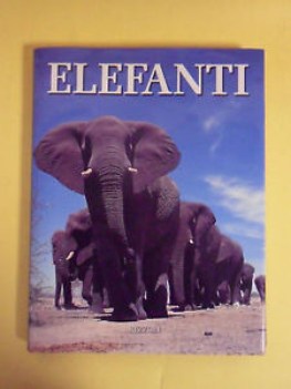 ELEFANTI. Grande formato fotografico a colori