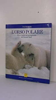 orso polare