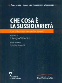 che cosa e la sussidiarieta un altro nome della liberta