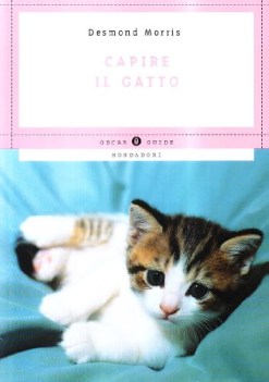 capire il gatto