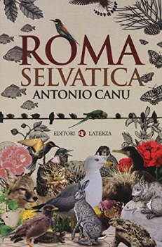 roma selvatica