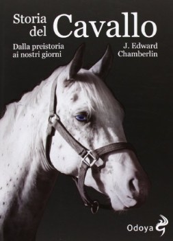 storia del cavallo dalla preistoria ai nostri giorni