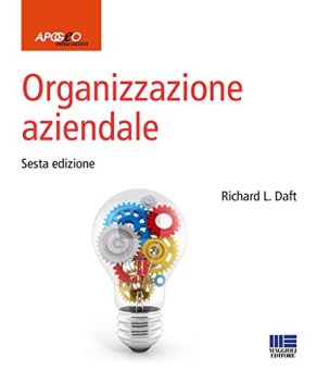 organizzazione aziendale (SESTA EDIZIONE)