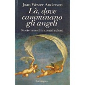 la\' dove camminano gli angeli storie vere di incontri celesti