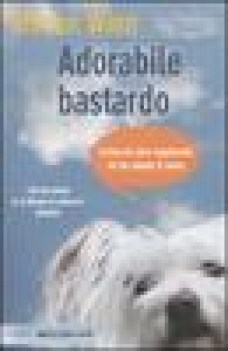 adorabile bastardo come un cane vagabondo mi ha rubato il cuore