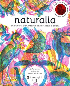 naturalia dall\'alba al tramonto