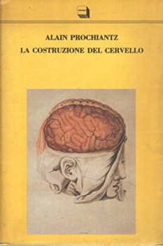 costruzione del cervello