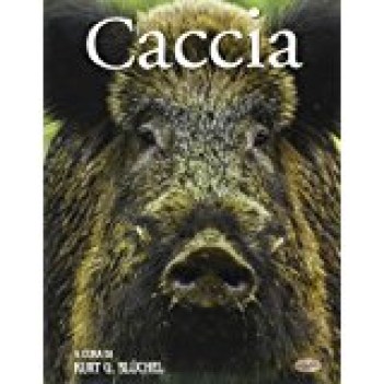 caccia