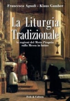 liturgia tradizionale le ragioni del motu proprio sulla messa in latino