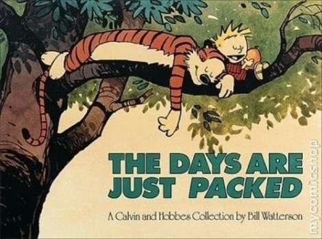 the days are just packed calvin  hobbes series book twelve