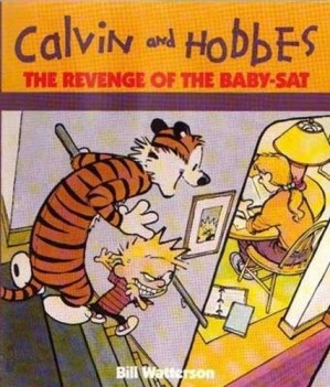 the revenge of the babysat calvin  hobbes series book eight