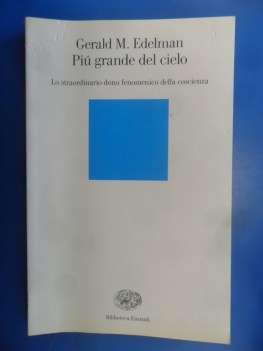 Pi grande del cielo. Lo straordinario dono fenomenico della coscienza