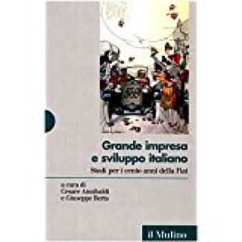 grande impresa e sviluppo italiano studi per i cento anni della fiat 2 volumi