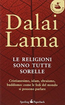 religioni sono tutte sorelle cristianesimo islam ebraismo buddismo