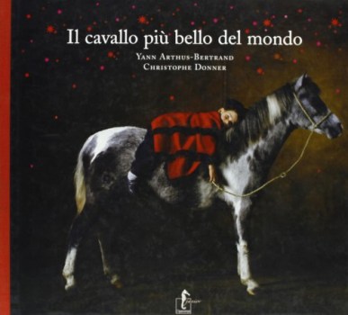 cavallo pi bello del mondo