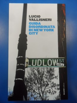 Guida disordinata di New York City