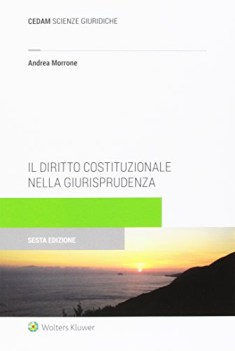 diritto costituzionale nella giurisprudenza