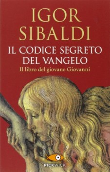 codice segreto del vangelo il libro del giovane giovanni