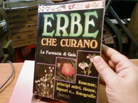 erbe che curano la farmacia di gaia