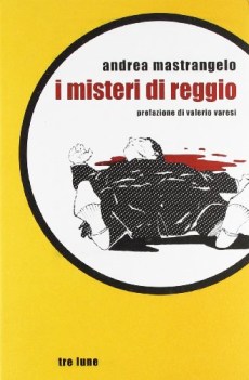 Misteri di Reggio. Racconti di delitti irrisolti