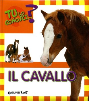 cavallo