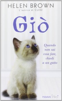 gi quando non sai cosa fare, chiedi a un gatto