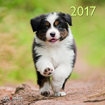 calendario cani 2017