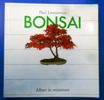 bonsai alberi in miniatura