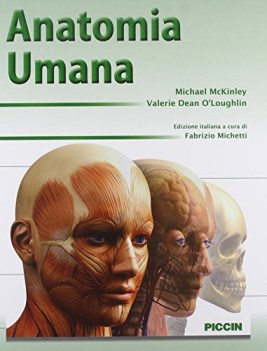 anatomia umana