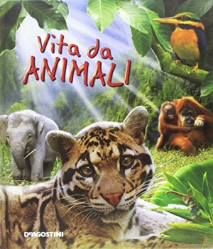 vita da animali