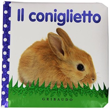 coniglietto